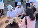 Humans and pets share the fun at the You, my beloved pet birthday party-3