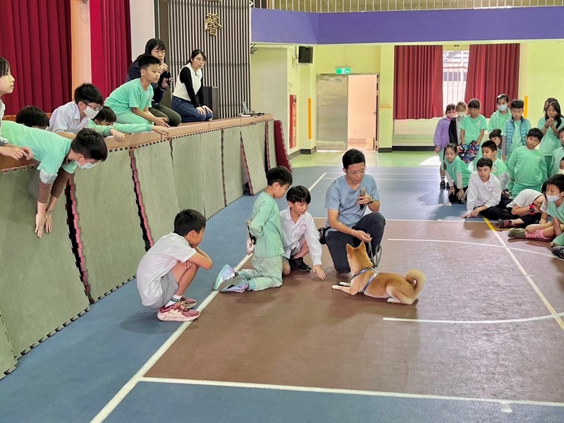 Therapy dogs can also serve as teaching assistants