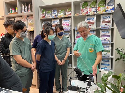 Taichung City promotes minimally invasive surgery for animals