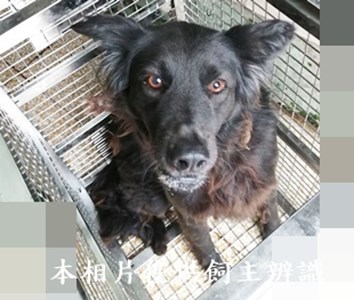 11403170003收圓25