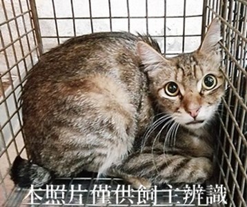 11404290005收69