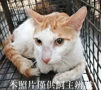 11404290012收45