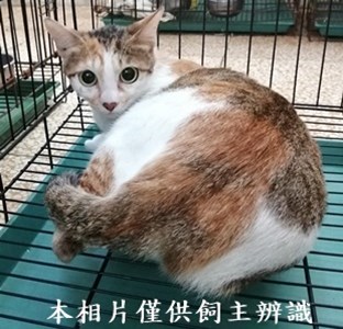 11404290017收14