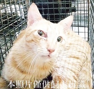 11404300009收19