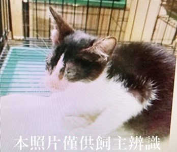 11404300023收37