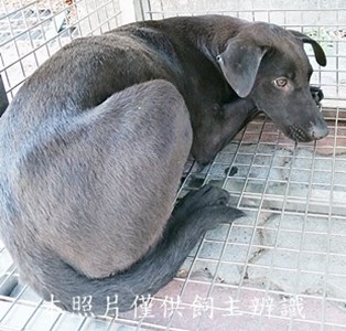 11405020004收W