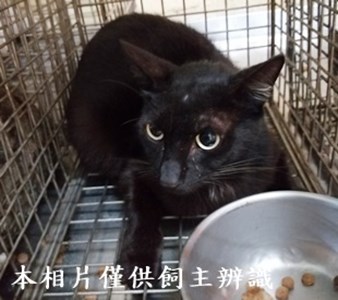 11405030001收1