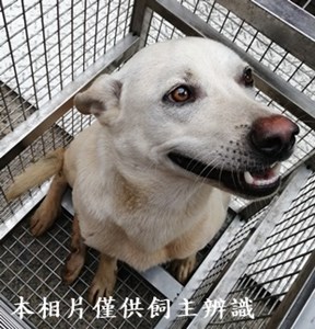 11405030010收23