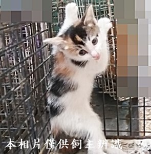 11405040001收50