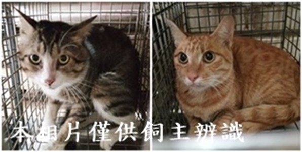 11405040002-3收