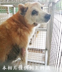 11405040004收K
