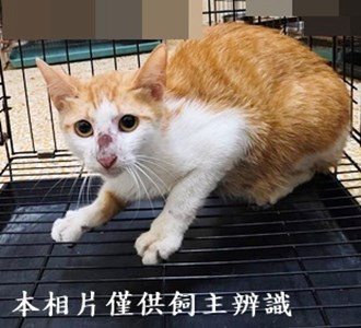 11405040006收30