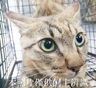 11405050007收-14
