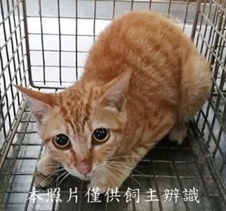 11405070003收60