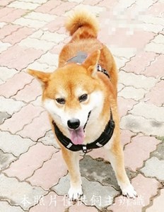 11405070013收35-4