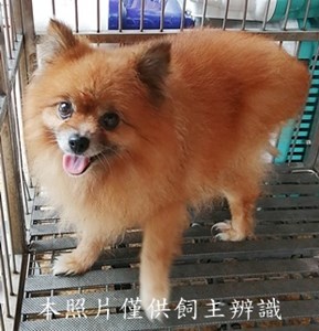 11405070014收幼20