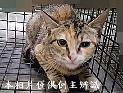 11405070016收-11