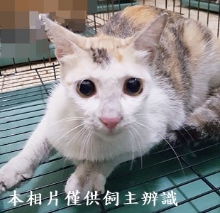 11405060015收-41