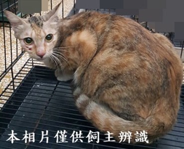 11405070021收-39