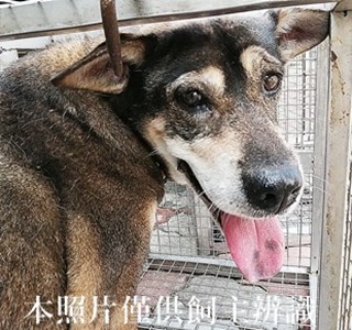 11405080009收T