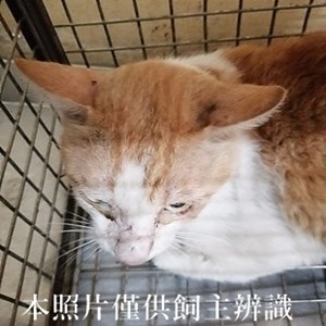 11405080008收20