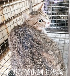 11405080007收63