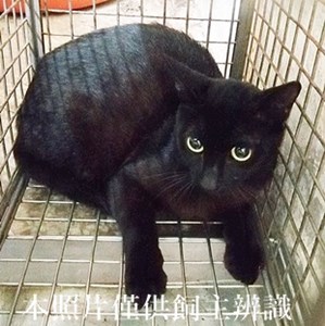 11405080002收18