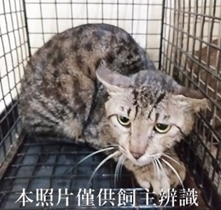 11405080004收1