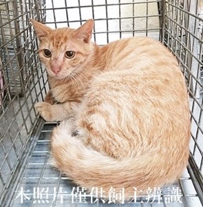 11405080006收24