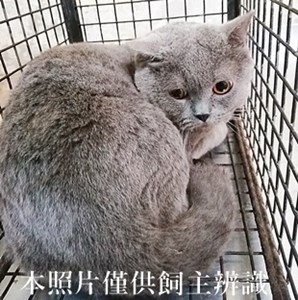 11405080012收70