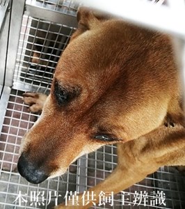 11405090005收W