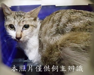 11405110002收-18