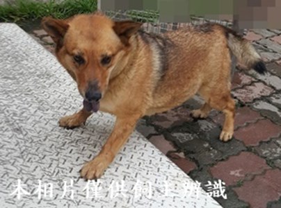 11405120005收-E15