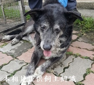 11405120006收-元12