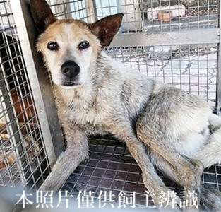 11405130006收K