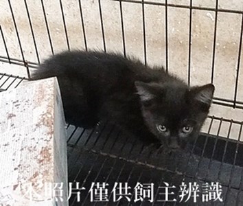 11405130007收42