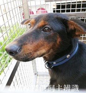 11405130010收元2