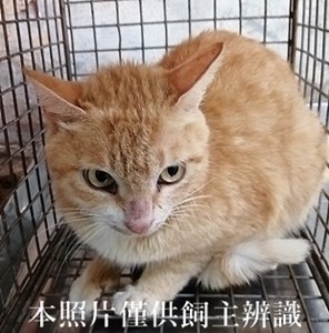 11405130012收54