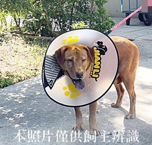 11405130014收嘟嘟