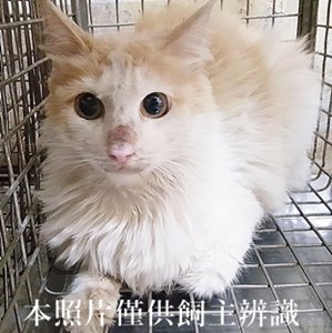 11405140010收-63