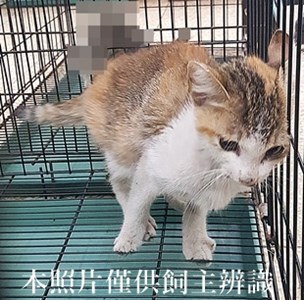 11405150012收-25