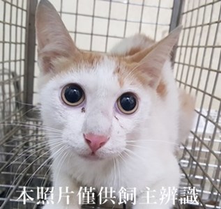 11405160003收-3