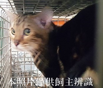 11405160011收-17