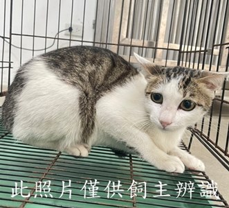 11405176001陳