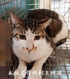 11405170001收12