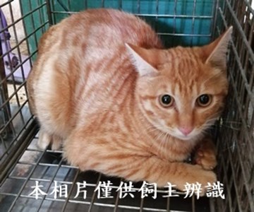 11405170003收56