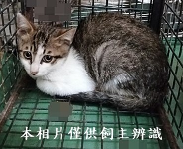 11405170004收13