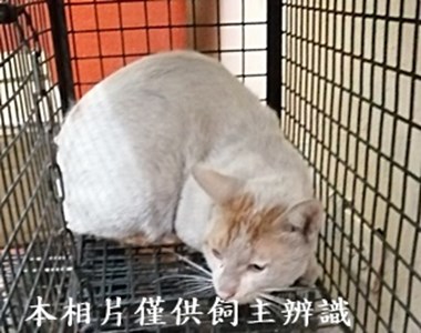 11405170005收68