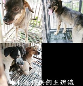 11405170010-13收母-tile