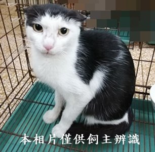 11405170016收3